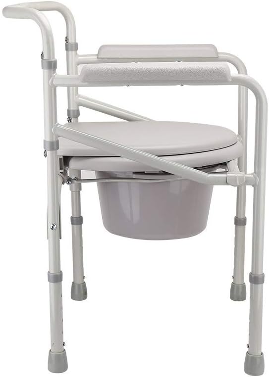 Toilet chair