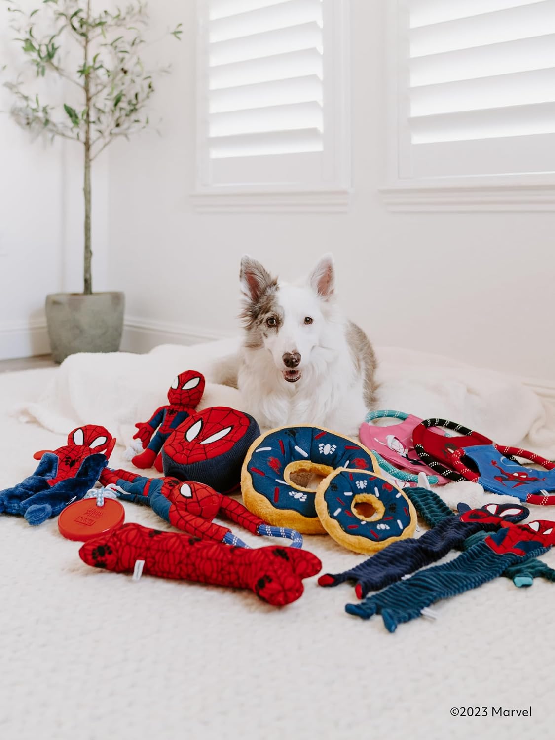 ZippyPaws Marvel Donutz - Interactive Donut Pet Toys for Dogs & Puppies, No Stuffing, Durable Squeaky Toy for Small & Medium Breed - Spider-Man