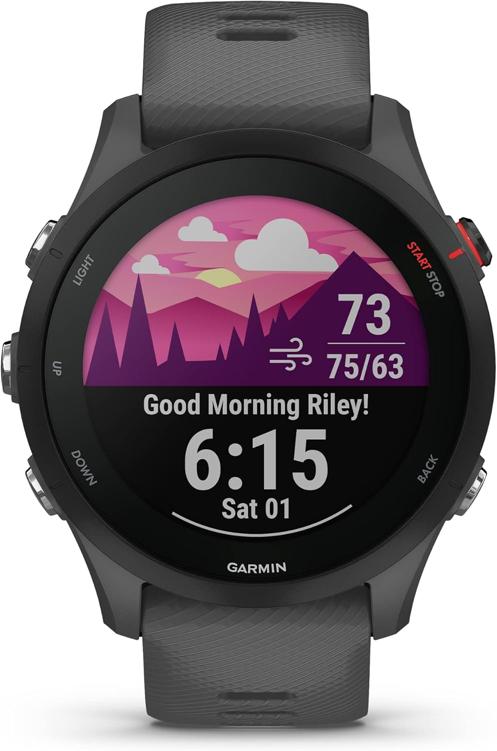 Garmin Forerunner 255