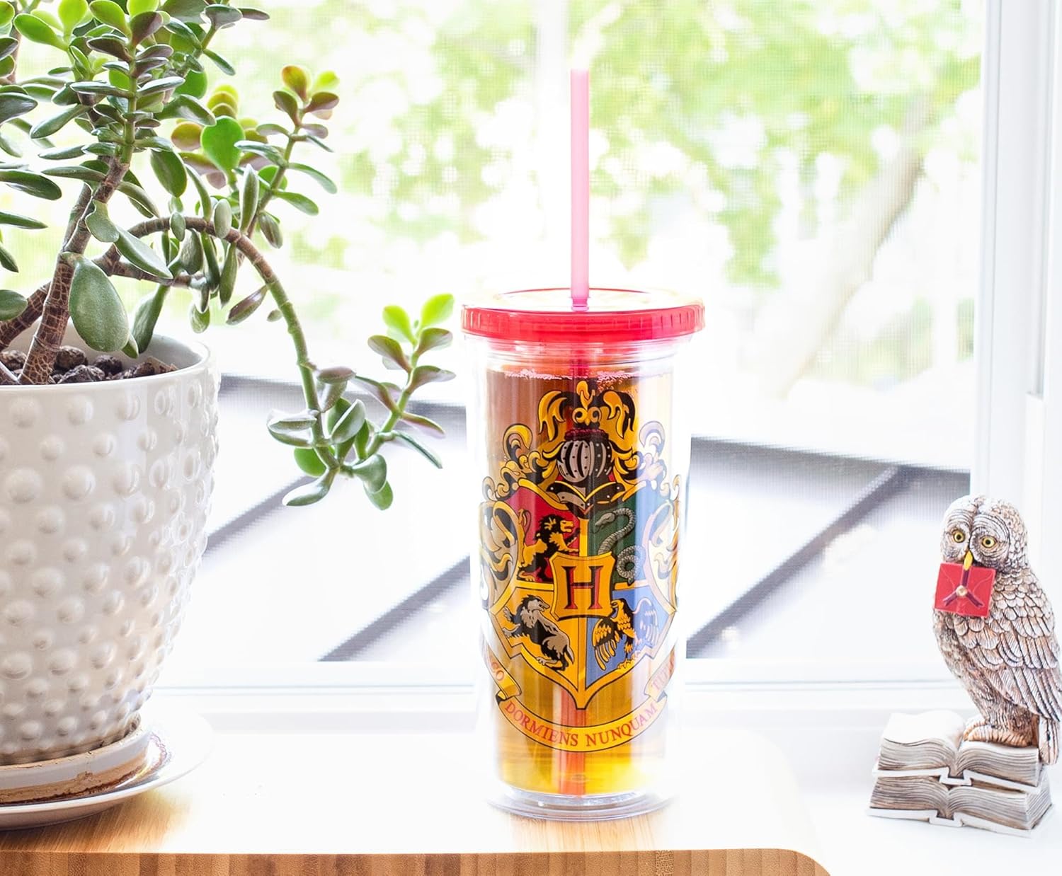 Harry Potter Hogwarts Crest Plastic Carnival Cup With Leak-Resistant Lid and Reusable Straw | Double-Walled Travel Tumbler For Drinks | Holds 20 Ounces
